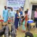 Veterinarians enhance livestock health in Jharkhand