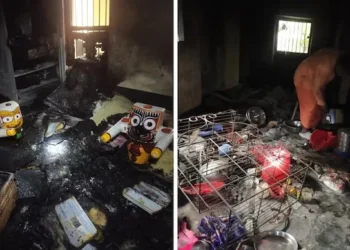 Rioters attack Hindu homes and temples across Bangladesh amidst rising violence