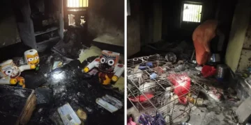 Rioters attack Hindu homes and temples across Bangladesh amidst rising violence