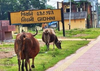 SE Railway notifies temporary stoppage of trains at Gidhni