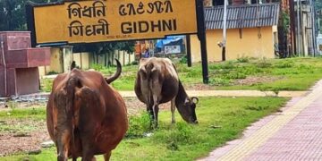 SE Railway notifies temporary stoppage of trains at Gidhni