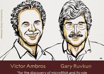 Victor Ambros, Gary Ruvkun win Nobel Prize in Medicine 2024