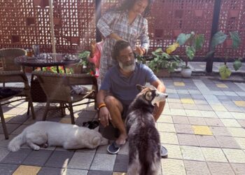 After hectic poll campaign, Jharkhand CM gets head massage