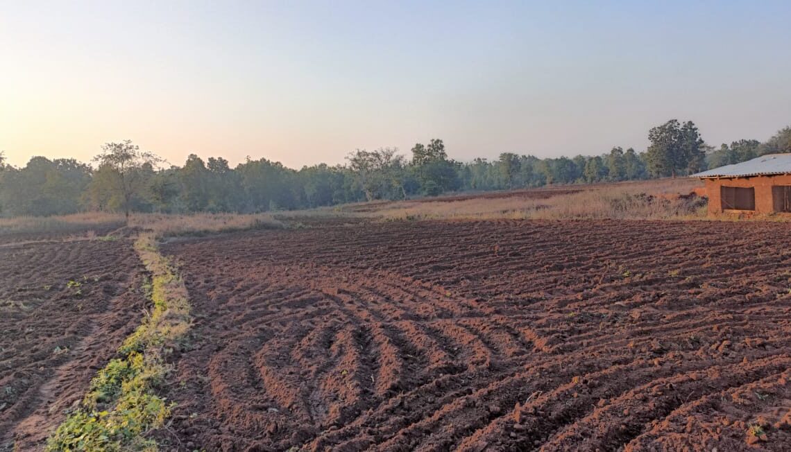 Forest Dept intensifies drive against poppy cultivation