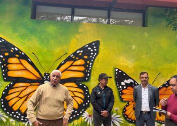 Butterfly House comes up at Tata Zoo in Jamshedpur 