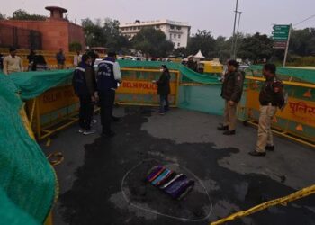 Man sets himself ablaze near Parliament