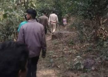 Cameras installed in Chandil forest to trace tiger