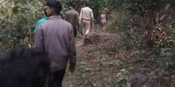 Cameras installed in Chandil forest to trace tiger