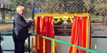 New enclosure for Blackbuck and Nilgai comes up at Tata Zoo