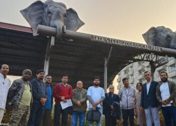 Waterbird census begins in Jamshedpur 