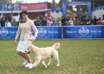 Championship Dog Show in Jamshedpur from Jan 9-12