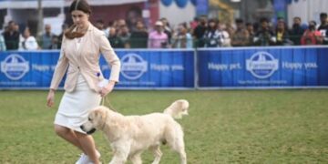 Championship Dog Show in Jamshedpur from Jan 9-12