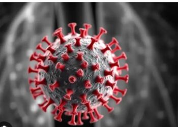 Jharkhand News: East Singhbhum on alert over HMPV virus