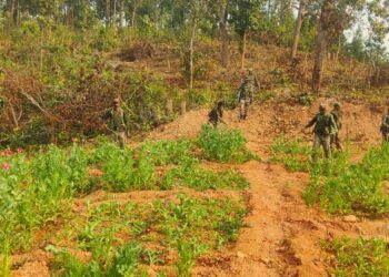 Jharkhand police launch ‘Chocolate Campaign’ to curb opium cultivation