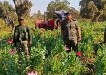 SP uses drone to destroy poppy plantation in Seraikela-Kharsawan