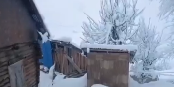 Heavy snowfall, cold wave, rain persist in Jammu and Kashmir