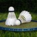 Mixed results for Jharkhand players at National Master Badminton Championship