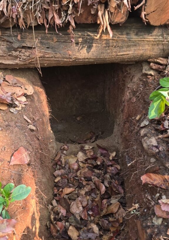 Jharkhand News: Security forces destroy five Naxal bunkers in W. Singhbhum