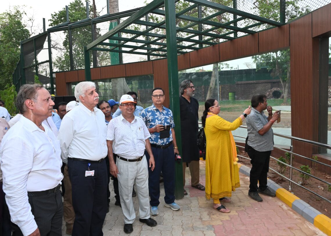 Tata Steel zoo unveils new enclosures for tigers and lions