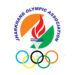 Founders of Jharkhand Olympic Association sidelined again in new committee