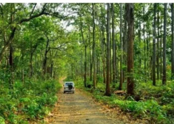 Security forces avert potential blast during anti-Naxal operation in Saranda forest