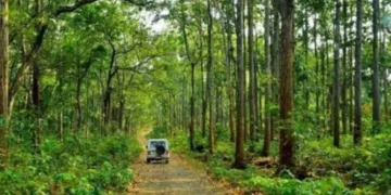 Security forces avert potential blast during anti-Naxal operation in Saranda forest