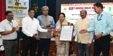 Cut oil imports: BAU meet pushes maize for ethanol boost