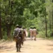 4 Maoists killed in gunfight with security forces in Saranda forest