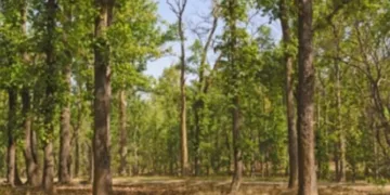 IED last injures CRPF jawan as Maoist threat persists in Jharkhand’s Saranda