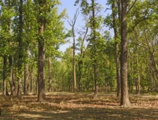 IED last injures CRPF jawan as Maoist threat persists in Jharkhand’s Saranda