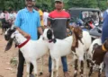High alert in Jamshedpur ahead of Bakrid on May 28