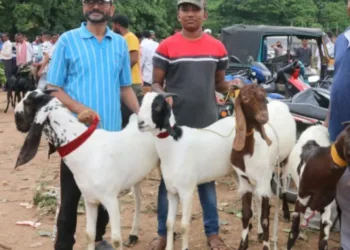 High alert in Jamshedpur ahead of Bakrid on May 28