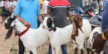 High alert in Jamshedpur ahead of Bakrid on May 28