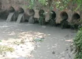 Bokaro Thermal Power Station polluting Damodar again: Saryu Roy