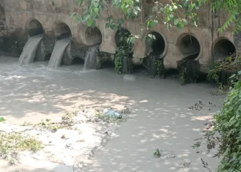 Bokaro Thermal Power Station polluting Damodar again: Saryu Roy