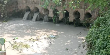 Bokaro Thermal Power Station polluting Damodar again: Saryu Roy