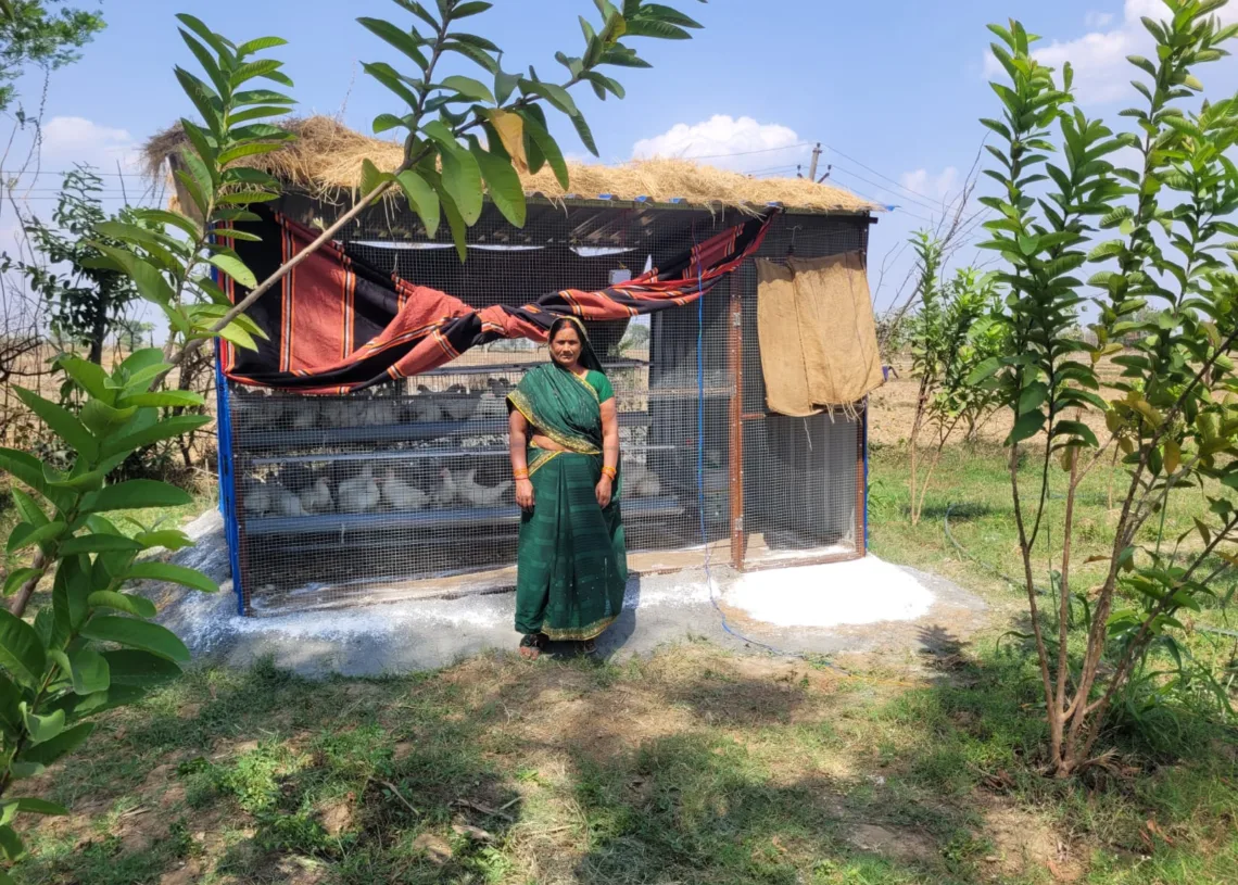 Jharkhand: Palamu JSLPS expands layer bird farming to boost SHG women’s income