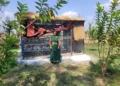 Jharkhand: Palamu JSLPS expands layer bird farming to boost SHG women’s income