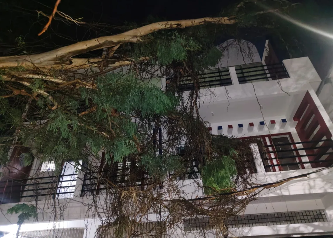 Forest, municipal teams remove huge eucalyptus branches from house in Daltonganj