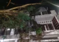 Forest, municipal teams remove huge eucalyptus branches from house in Daltonganj