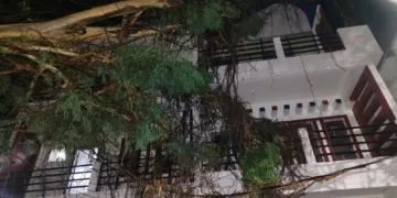 Forest, municipal teams remove huge eucalyptus branches from house in Daltonganj