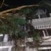 Forest, municipal teams remove huge eucalyptus branches from house in Daltonganj