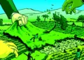 Jharkhand News: Palamu faces rising ‘land extremism’ amid growing disputes