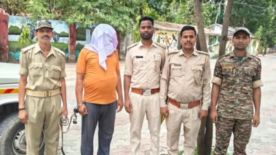 Jharkhand: Forest patrol foils firewood smuggling bid in Palamu, one arrested
