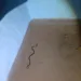 Highly venomous Krait rescued from house, released in PTR forest