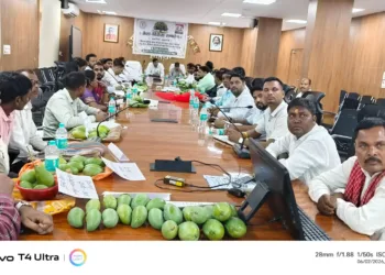 Jharkhand News: Latehar administration assures fair prices for mango growers