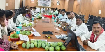 Jharkhand News: Latehar administration assures fair prices for mango growers