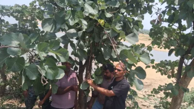 Jharkhand Van Samiti promotes lac cultivation beyond traditional areas in Palamu