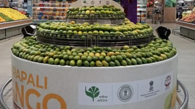 Jharkhand’s Amrapali mangoes reach Dubai’s Lulu Mall, boosting women farmers’ global presence
