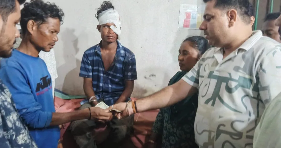 Two tribal youths injured in bear attack in Palamu Tiger Reserve